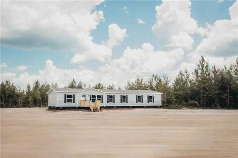 1100 Boots Harrison Road, Hortense, GA 31543