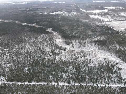 0vl County Line Rd, Farwell, MI 48622