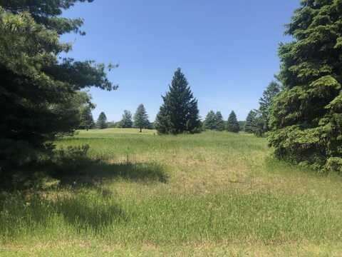 7299 Ryans Run, Canadian Lakes, MI 49346