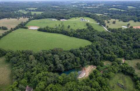 000 Gideon Cave Road, Marionville, MO 65705