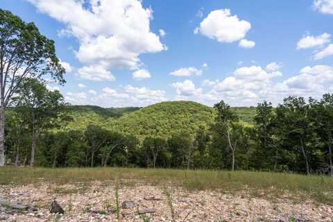 Tbd State Hwy Y, Galena, MO 65656