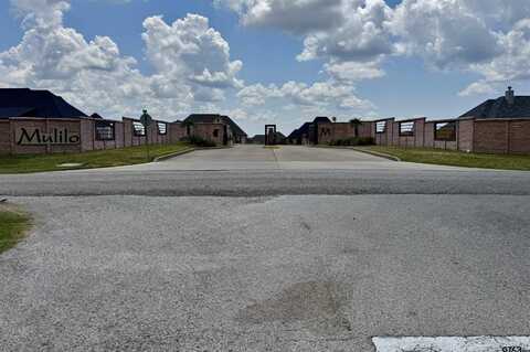 115 Eland Way, Bullard, TX 75757
