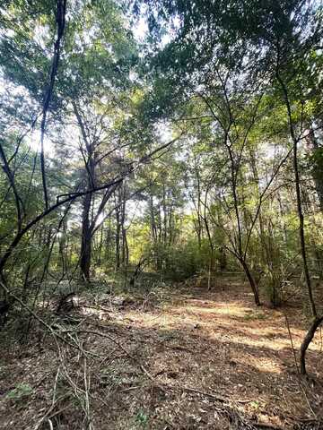 TBD HWY 44 E, Dekalb, TX 75559
