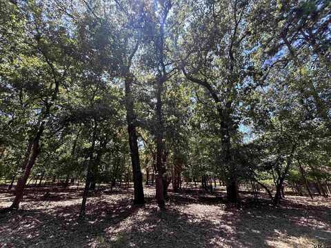 202 Magnolia, Holly Lake Ranch, TX 75765