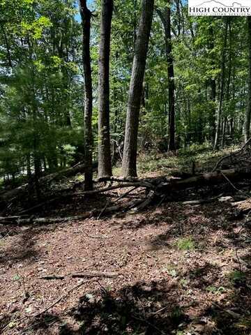 Lot 26 Riverside Drive, Sparta, NC 28675