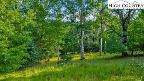 Tbd NC Hwy 88 E, Laurel Springs, NC 28644