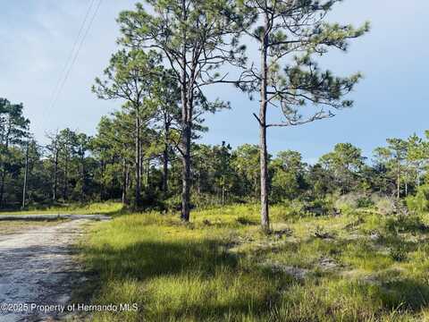 PARALLEL Road, Brooksville, FL 34614