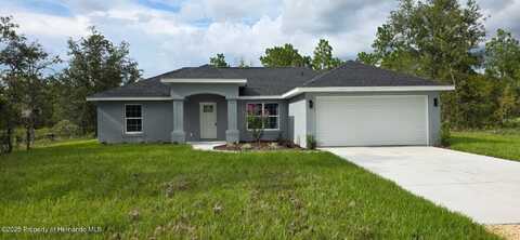 14045 Red Marlin Avenue, Brooksville, FL 34614