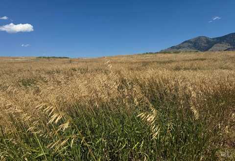Lot 29 Whitewater Wilderness Drive, Pollock, ID 83547