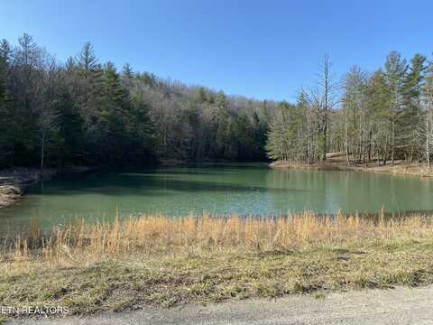 Bear Den Tr, Grandview, TN 37337