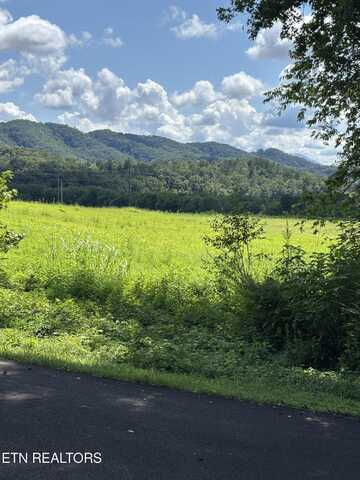Canupp Drive, Sevierville, TN 37876