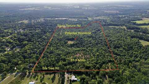 Tbd Silver Spruce rd, Gilmer, TX 75645