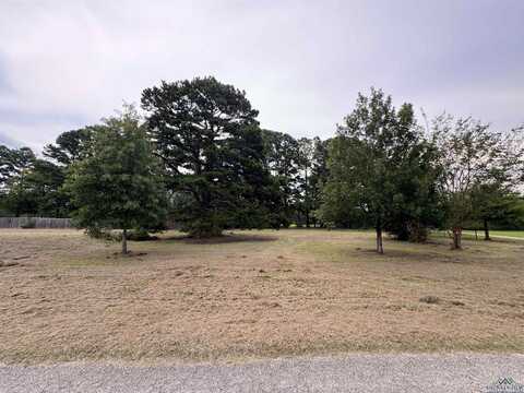 Tbd County RD 307 D, Henderson, TX 75654