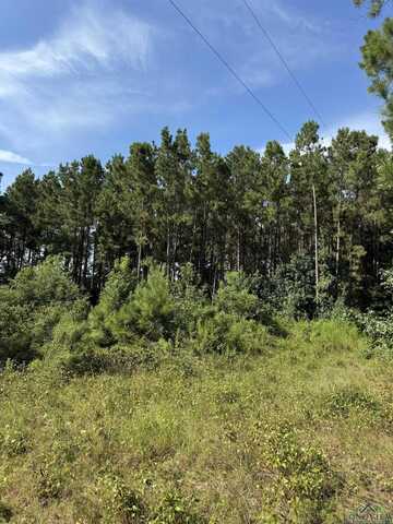 Tbd County RD 448, Carthage, TX 75633