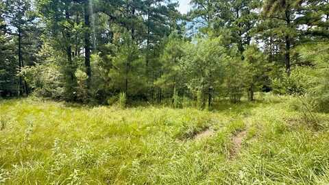 455 Jape Massingill Lane, Diboll, TX 75941