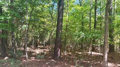 Lot 1 &2 Pine St, Broaddus, TX 75929