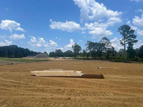 7 M D Thompson Rd, Moselle, MS 39459