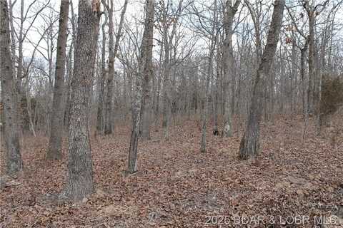 Kip Drive, Edwards, MO 65326