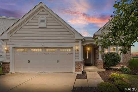 1420 Orchard Lakes Circle, Belleville, IL 62220