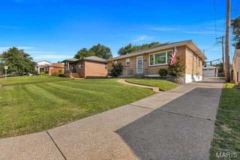 3915 Blow Street, Saint Louis, MO 63116