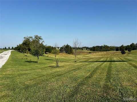 0 Liberty Dr., Palmyra, MO 63461