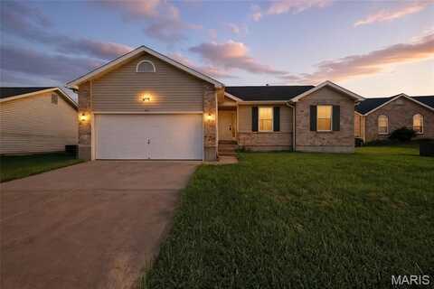 11 Tensleep Circle, Festus, MO 63028