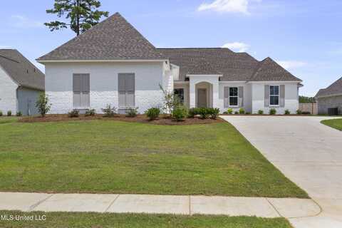 353 Wellstone Place, Madison, MS 39110