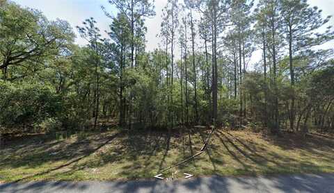 8123 N YELLOWBIRD AVENUE, DUNNELLON, FL 34434