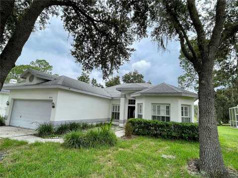 9605 NORCHESTER CIRCLE, TAMPA, FL 33647