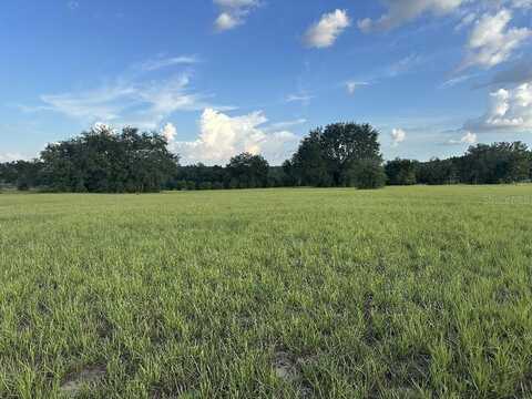 5497 NANTAHALA LANE, LADY LAKE, FL 32159