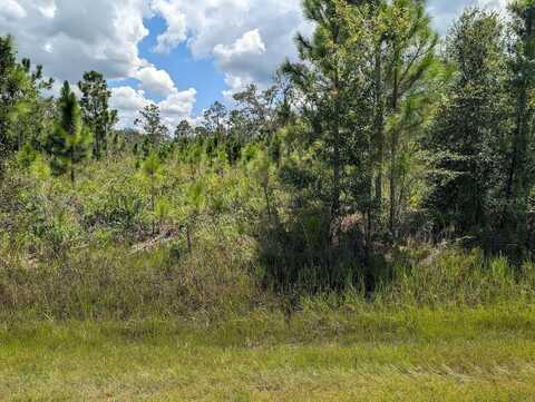 311 HIBISCUS DRIVE, INDIAN LAKE ESTATES, FL 33855