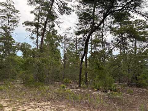 27 STATICE COURT, HOMOSASSA, FL 34446