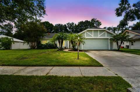 9203 REGENTS PARK DRIVE, TAMPA, FL 33647