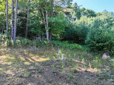 L39 Off Flowers Way, Clay, NY 12847