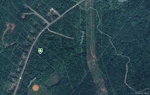 1181 Lakes Road, Monroe, NY 10950