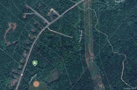 1187 Lakes Road, Monroe, NY 10950