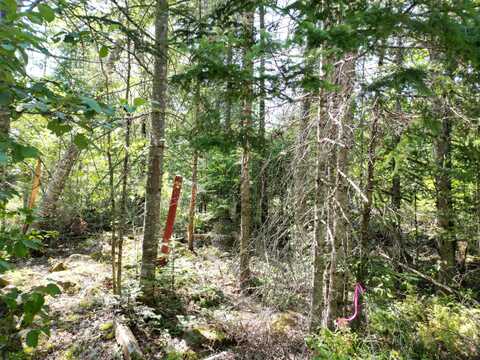 Lot 6 Fogg Brook Road, Lowell, ME 04493