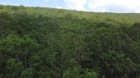 Lot 56-A Ridgetop Lane, TAZEWELL, VA 24651