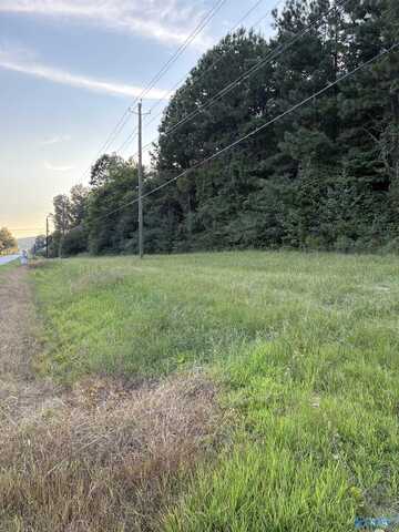 Unit 21428411 Main Street, Altoona, AL 35952