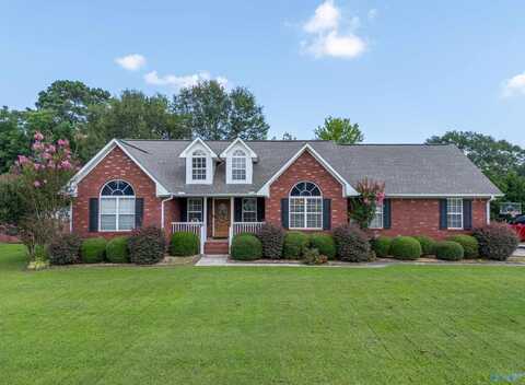82 Drury Lane, Albertville, AL 35950