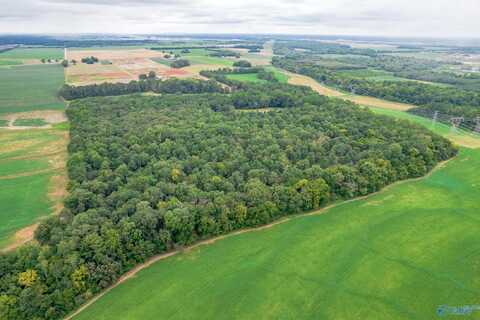 25.5 Acres Huntsville Brownsferry Road, Madison, AL 35756