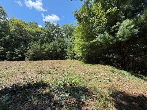 10+ Ac Spiva Cove, Blairsville, GA 30512