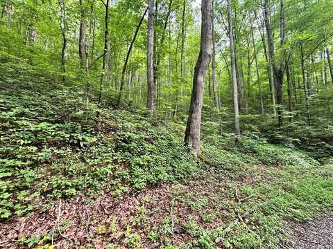Lot 19 Burnt Leaf, Hayesville, NC 28904