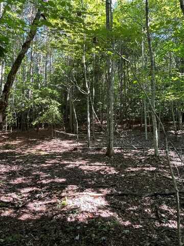Lot 17 Hidden Branch Drive, Young Harris, GA 30582