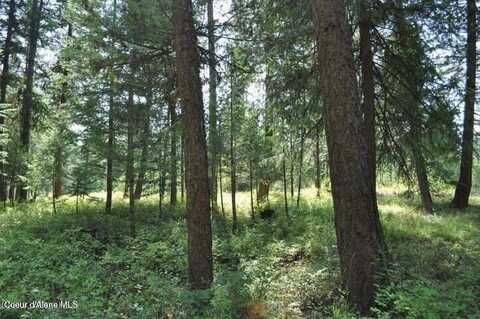 39 Forest Ridge Rd, Blanchard, ID 83804