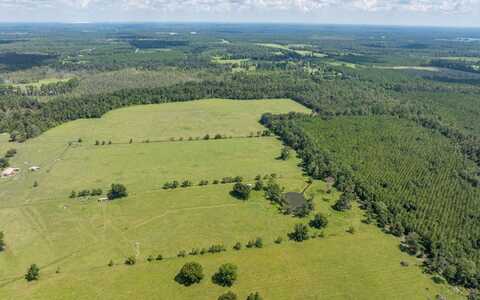 TBD HOGAN RD, Wellborn, FL 32094
