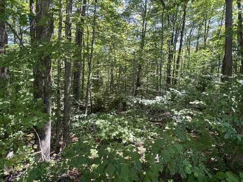 72 Buckboard Drive, Dover, VT 05356