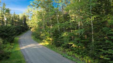 66 Longwood Drive, Grantham, NH 03753