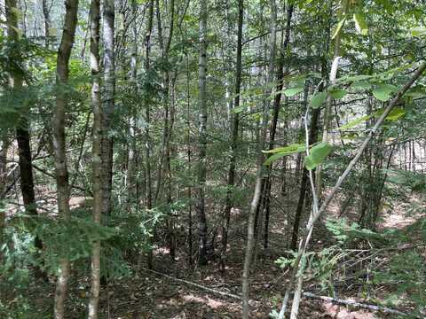 M7/L28 Stowe Mountain Road, Hillsborough, NH 03244