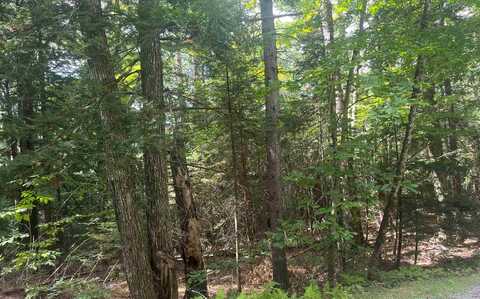 50 Longwood Drive, Grantham, NH 03753